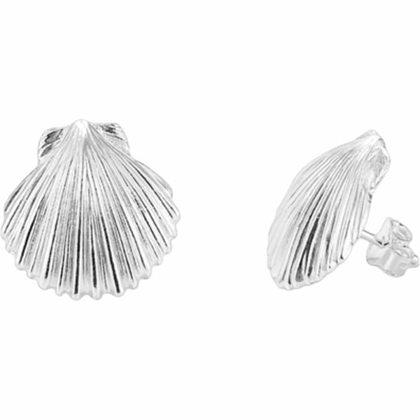 Ladies  Earrings Radiant RY000145 Stainless steel 1 cm Online