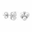 Ladies  Earrings Majorica 15725.01.2.000.010.1 For Discount