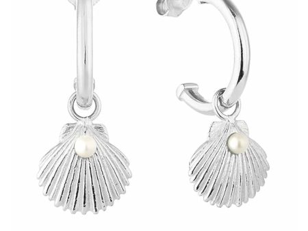 Ladies  Earrings Radiant RY000143 Stainless steel 2 cm Discount