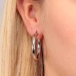 Ladies  Earrings La Petite Story LPS02ARQ186 Supply