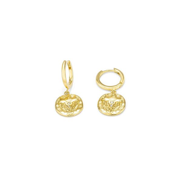 Ladies  Earrings Radiant RY000047 Stainless steel 1,5 cm Online