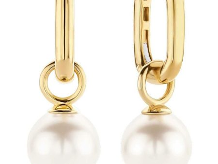 Ladies  Earrings Ti Sento 7848PW Online