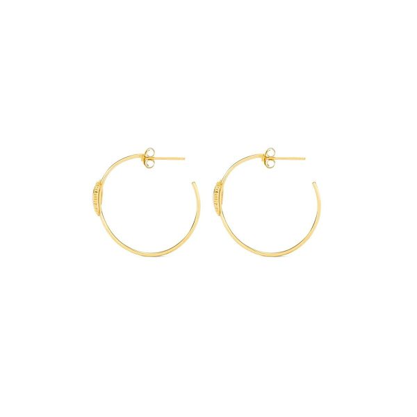 Ladies  Earrings Radiant RY000057 Stainless steel 3 cm Online