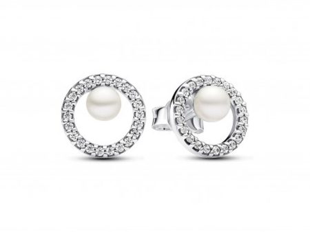 Ladies  Earrings Pandora 291248C01 Fashion