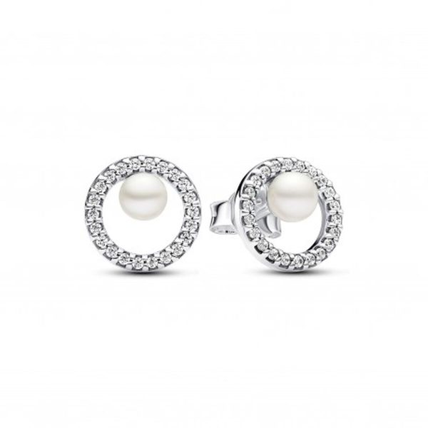 Ladies  Earrings Pandora 291248C01 Fashion