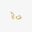 Ladies  Earrings Radiant RY000226 Discount