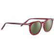 Unisex Sunglasses Serengeti SS483001 52 on Sale