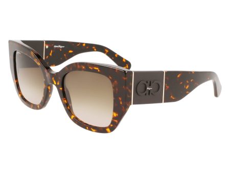 Ladies  Sunglasses Salvatore Ferragamo SF1045S-281 Ø 51 mm Online now