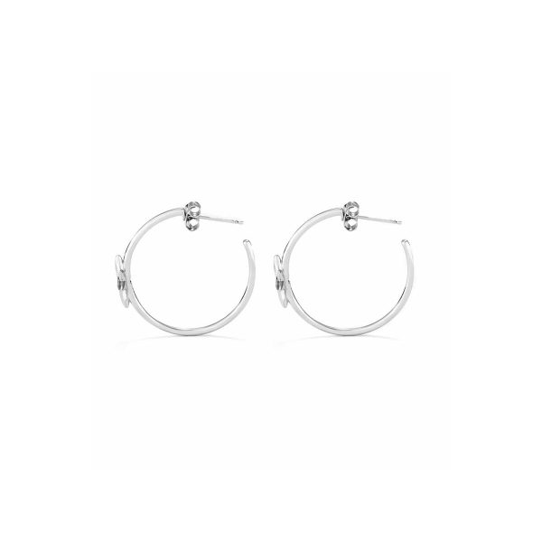 Ladies  Earrings Radiant RY000034 Stainless steel 3 cm For Discount