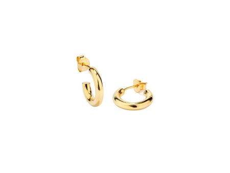 Ladies  Earrings Radiant RY000226 Discount